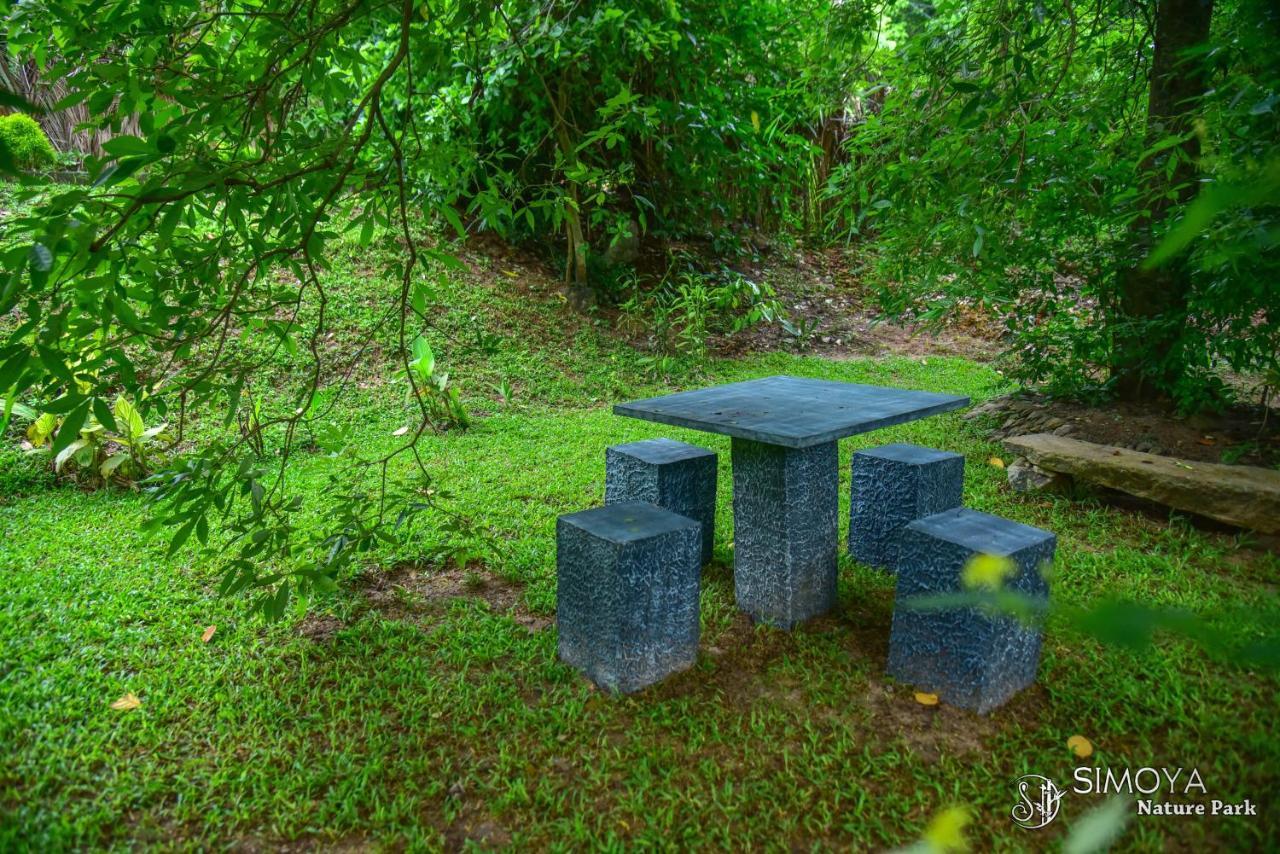 Simoya Nature Park Dambulla Extérieur photo