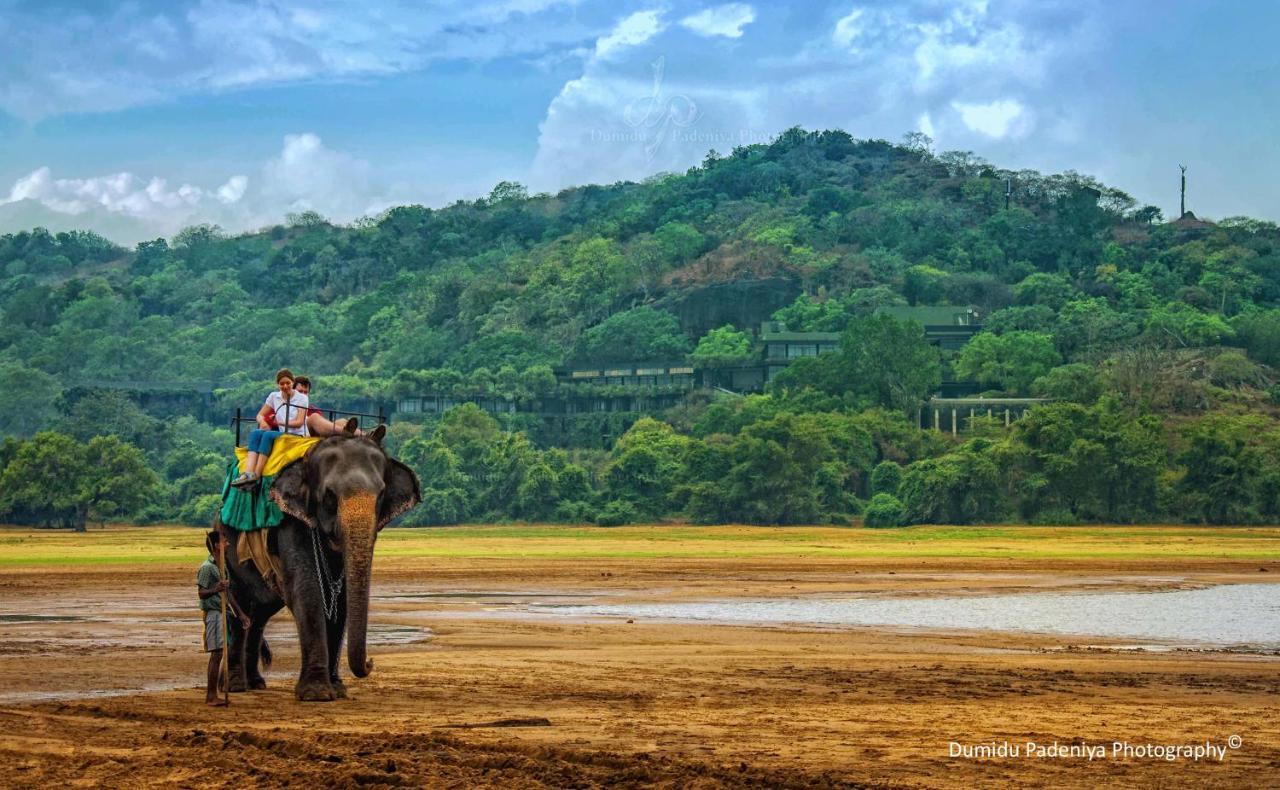 Simoya Nature Park Dambulla Extérieur photo