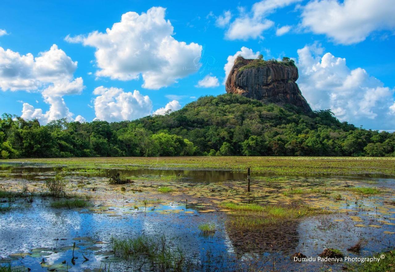 Simoya Nature Park Dambulla Extérieur photo